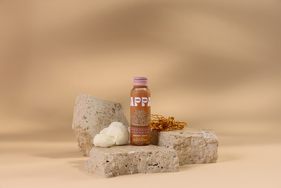 Appa mushroom drink on stones with mushrooms laying near it