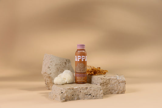 Appa mushroom drink on stones with mushrooms laying near it